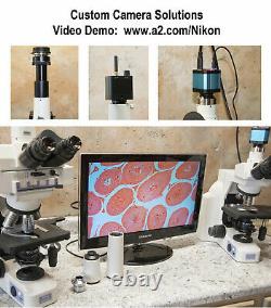 Asbestos Binocular Microscope Kit Rebuilt Nikon Alphaphot YS2H with Plan 40x Ph3