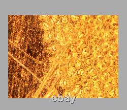 CLE Nikon LU Plan 10X / 0.30 A? /0 BD WD 15 Microscope Objective Lens 32mm