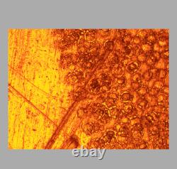 CLE Nikon LU Plan 10X / 0.30 A? /0 BD WD 15 Microscope Objective Lens 32mm 34269