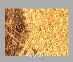 CLE Nikon LU Plan 10X / 0.30 A? /0 BD WD 15 Microscope Objective Lens 32mm 34269