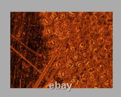 CLE Nikon LU Plan 10X / 0.30 A? /0 BD WD 15 Microscope Objective Lens 32mm 34269