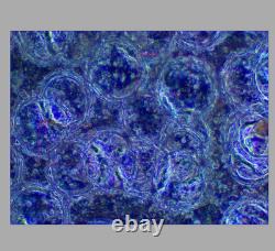 CLEAN GLASS Nikon BD Plan ELWD 40x/0.5 Microscope Objective Lens 210mm M26 33960