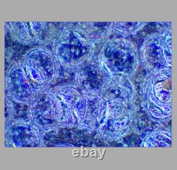 CLEAN GLASS Nikon BD Plan ELWD 40x/0.5 Microscope Objective Lens 210mm M26 33960