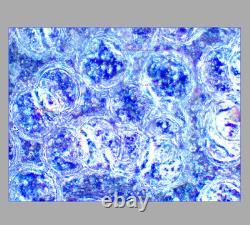 CLEAN GLASS Nikon BD Plan ELWD 40x/0.5 Microscope Objective Lens 210mm M26 33960