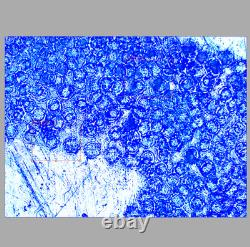 Clean Glass Nikon Cf Plan 10/0.30? /0 Epi Microscope Objective Lens 34053