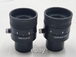 Ex CLEAN GLASS Olympus Microscope Eyepieces GWH10X-D/CD for SZ, SZH 30mm 29644