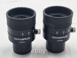 Ex CLEAN GLASS Olympus Microscope Eyepieces GWH10X-D/CD for SZ, SZH 30mm 29644