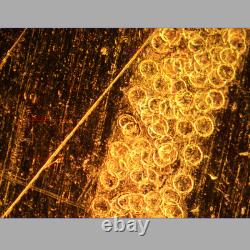 Exc NIKON CF PLAN 20X/0.46 BD MICROSCOPE OBJECTIVE LENS for M27 33878