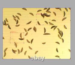 Exce Nikon Plan APO 4x / 0.16 160mm TL Microscope Objective Lens for RMS 34078