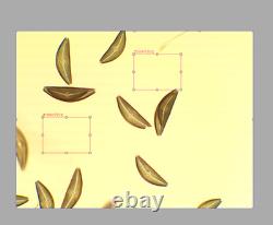 Exce Nikon Plan Apo 10x 0.4 160mm 0.17 Microscope Objective Lens RMS 34079