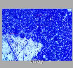 Excellent NIKON 10X M PLAN MICROSCOPE OBJECTIVE LENS 10/0.21 SLWD 210/0 34052