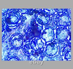 Excellent Nikon M Plan 40X ELWD 0.5 210/0 Microscope Objective Lens RMS 34054