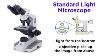 Light Microscopy Function And Utility