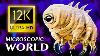 Microscopic World 12k Ultra Hd