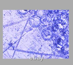 Mint Nikon M Plan 40 0.55 LWD 210/0 Microscope Objective Lens RMS 35733