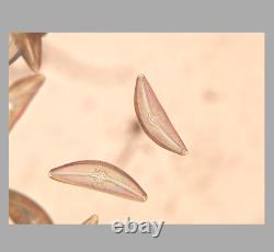 Mint Nikon Microscope Objective Plan Fluor 40x 0.75 DIC M? /0.17 WD RMS