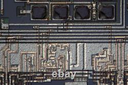 Nikon DIC Nomarksi Microscope Nosepiece BD Plan 5x 10x 20x 40x 60x Objective 210