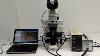 Nikon E600 Microscope With Fluorescence E600w Bostonind 13453