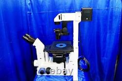 Nikon ECLIPSE TE300 Inverted Microscope Plan Fluor 4x 10x Lamp Tested