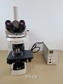 Nikon Eclipse 80i Epi Fluorescence DIC Microscope Plan Fluor Plan Apo Objectives