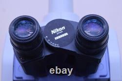 Nikon Eclipse E1000 M Microscope Plan Apo 20x 40x Macro 0.5