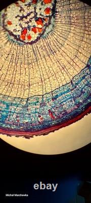 Nikon Eclipse E400 Trinocular Microscope 5 Nikon Plan Objectives 4x-100x