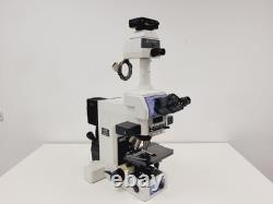 Nikon Eclipse E800 Microscope System with Plan Apo 40/60/100, V-PS100E Lab