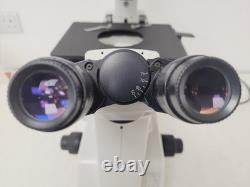 Nikon Eclipse TE200 Microscope with 3 x Objectives Plan, Ph with TE-PS100 PSU Lab