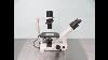 Nikon Eclipse Ts100 Inverted Microscope For Sale
