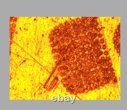 Nikon LU Plan 5X / 0.15 A? /0 BD WD 18 Microscope Objective 32mm 34268