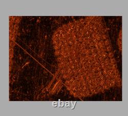 Nikon LU Plan 5X / 0.15 A? /0 BD WD 18 Microscope Objective 32mm 34268