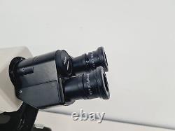 Nikon Labophot 2 Polarizing Microscope with 3 x Objectives E Plan Lab 10/20/40 Lab