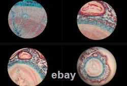 Nikon OPTIPHOT Microscope Plan Objective x4 Lenses Tested Viewable Minor Issue