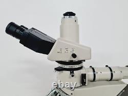 Nikon Optiphot-2 Microscope Lab with 4 x Objectives Japan M Plan, Fluor Lab