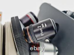 Nikon Optiphot-2 Microscope with 5 Objectives, Ph1, Ph2, Ph3, Plan 2