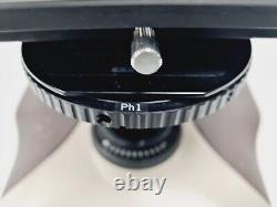 Nikon Optiphot-2 Microscope with 5 Objectives, Ph1, Ph2, Ph3, Plan 2