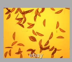 Nikon Plan Fluor 10x / 0.30 DIC L Microscope Objective Lens for M25 34734