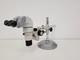 Nikon SMZ800 Stereo Microscope