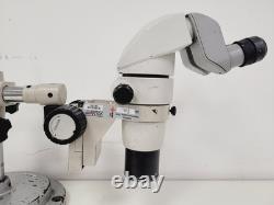 Nikon SMZ800 Stereo Microscope