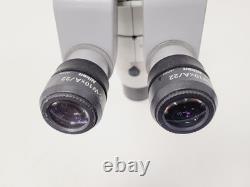 Nikon SMZ800 Stereo Microscope