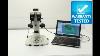 Nikon Smz1000 Stereoscope Stereo Microscope Bostonind 31548