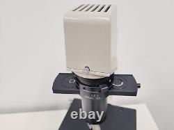 Nikon TMS Inverted Phase Contrast Microscope with 4 x Objectives DPlan, Plan, Ph