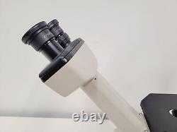 Nikon TMS Inverted Phase Contrast Microscope with 4 x Objectives DPlan, Plan, Ph