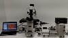Nikon Ti E Inverted Microscope Fluorescence Motorized Phase Contrast Bostonind 15242