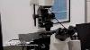 Nikon Ti Eclipse Confocal Microscope Fluorescence Imaging