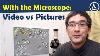 Should You Make Videos Or Photographs With A Microscope What S Better