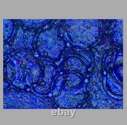 Test OK Nikon BD Plan ELWD 60x/0.70 Microscope Objective Lens 210mm M26 33961