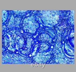 Test OK Nikon BD Plan ELWD 60x/0.70 Microscope Objective Lens 210mm M26 33961