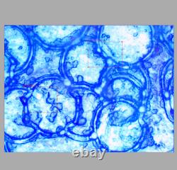 Test OK Nikon BD Plan ELWD 60x/0.70 Microscope Objective Lens 210mm M26 33961