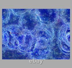 Test OK Nikon BD Plan ELWD 60x/0.70 Microscope Objective Lens 210mm M26 33961